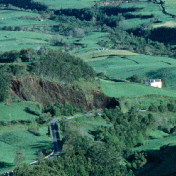 Photographic Scanning (And Printing) | Film Rescue International